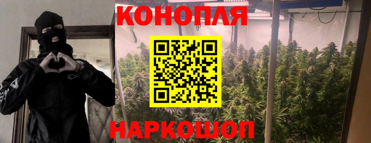 Конопля план Красногорск